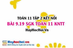 Bài 9.19 SGK Toán 11 Tập 2 Kết nối tri thức: Tính giá trị đạo hàm của hàm số lượng giác